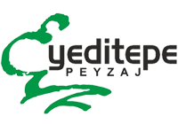 Yeditepe Peyzaj